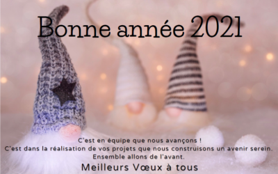 Bonne année 2021
